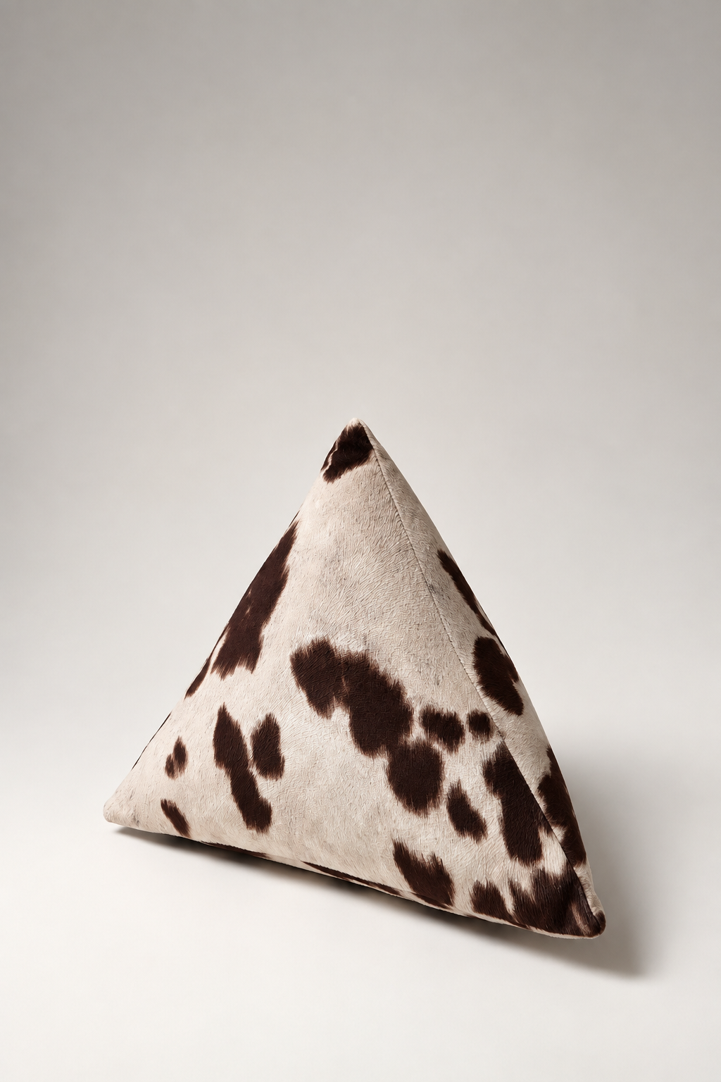 Prism Pillow