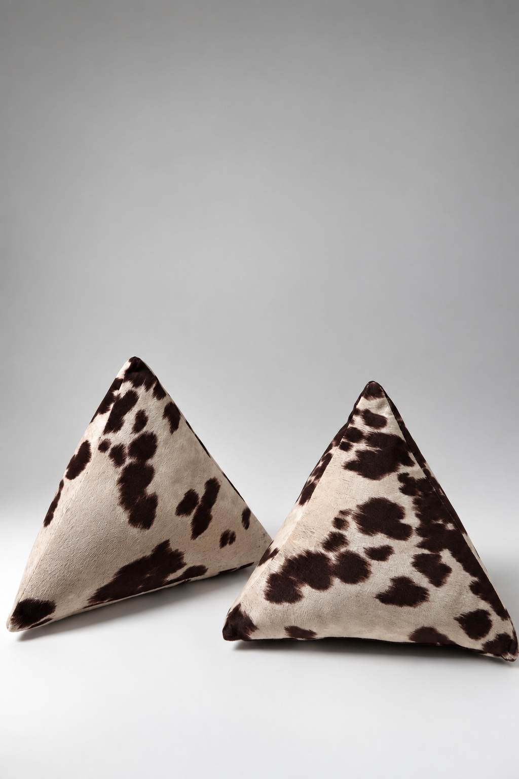 Prism Pillow